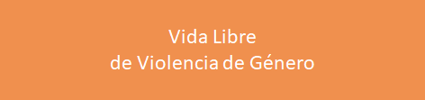 AGENDA NACIONAL PARA LA IGUALDAD DE GÉNERO (ANIG) 2021-2025 – Consejo ...